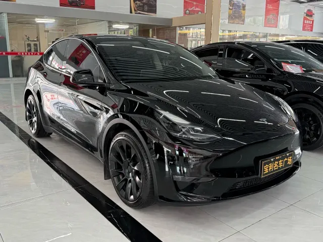 Tesla Model Y — Фото автомобиля 4