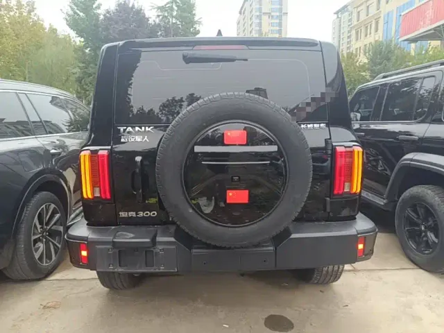 Tank Tank 300 2023 Urban Edition 2.0T Must-Have Type — Фото автомобиля 5