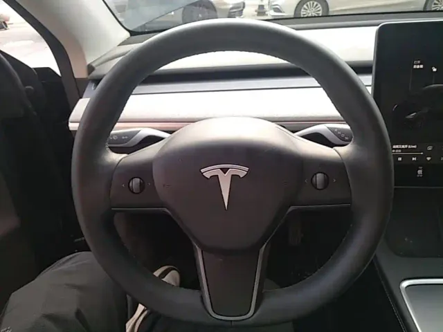Tesla Model Y — Фото автомобиля 10