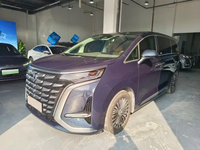 Фотография автомобиля — Denza D9