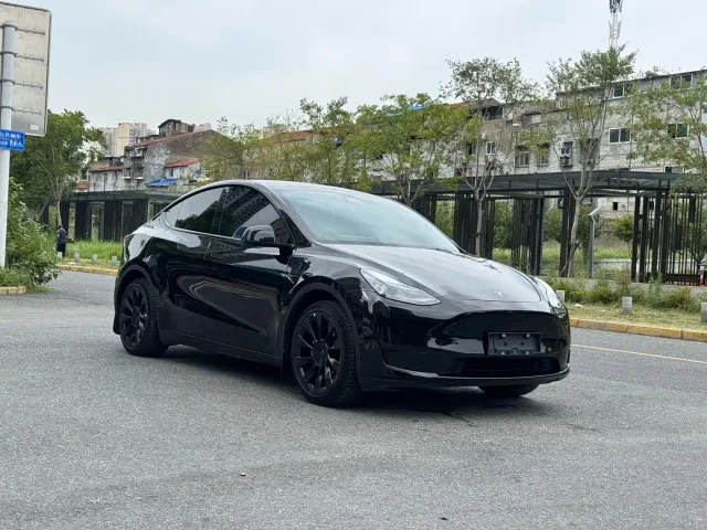 Tesla Model Y — Фото автомобиля 3