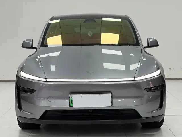 Tesla Model Y — Фото автомобиля 2