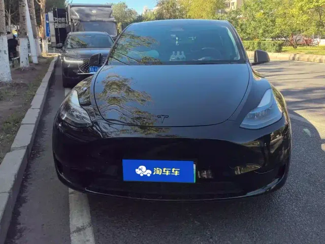 Tesla Model Y — Фото автомобиля 2