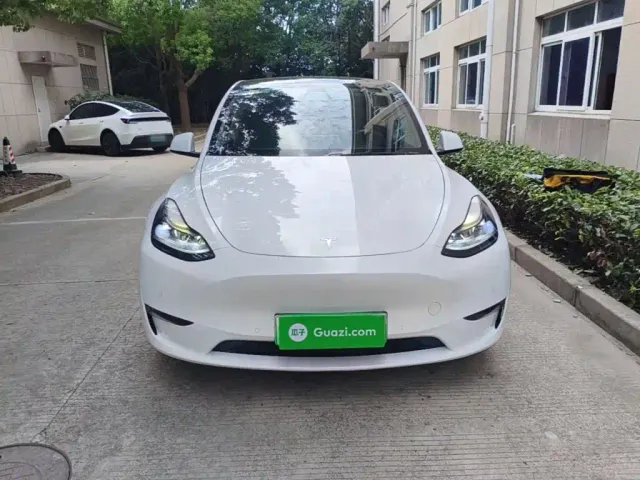 Tesla Model Y 2021 Performance High-Performance AWD — Фото автомобиля 2