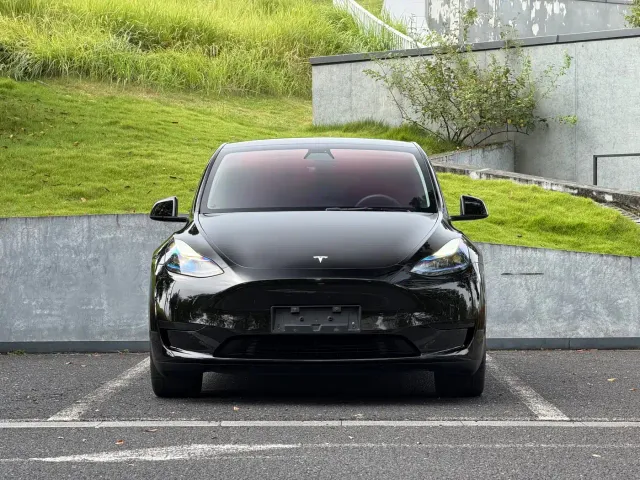Tesla Model Y — Фото автомобиля 2