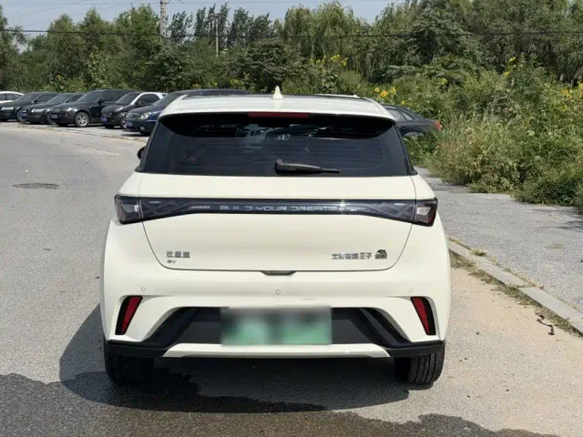 BYD Dolphin — Фото автомобиля 9
