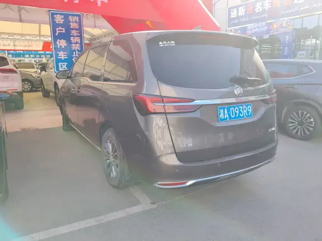 Buick Buick GL8 2023 Land Business Class 652T Luxury — Фото автомобиля 9