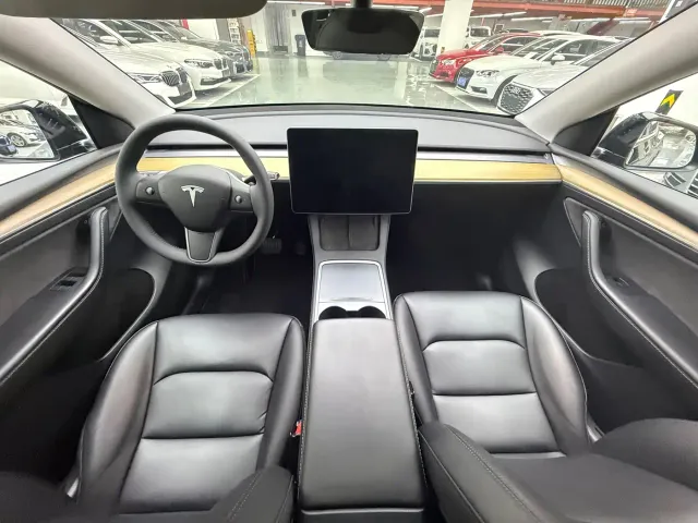 Tesla Model Y — Фото автомобиля 9
