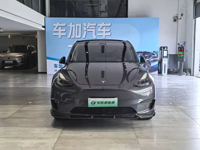 Tesla Model Y — Фото автомобиля 2