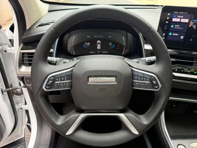 Haval H6 — Фото автомобиля 11