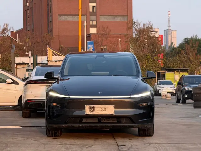 Tesla Model Y — Фото автомобиля 2