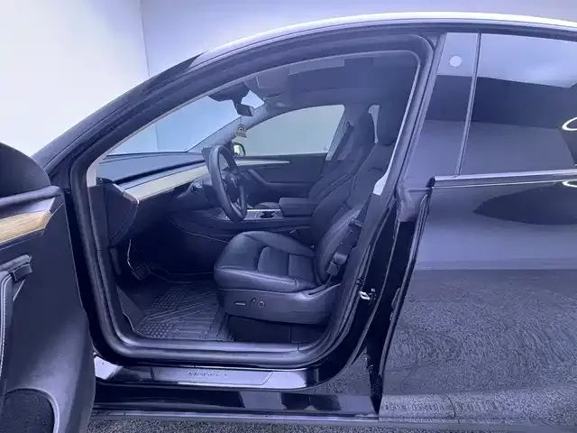Tesla Model Y — Фото автомобиля 10