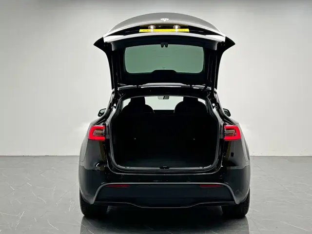 Tesla Model Y — Фото автомобиля 10