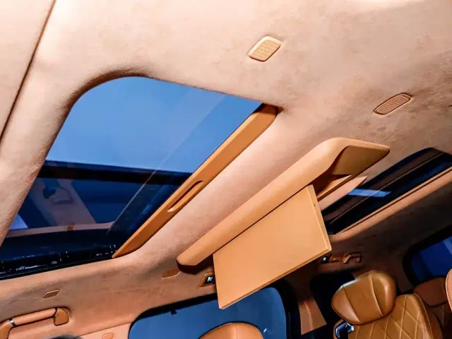 Wey Alpine — Фото автомобиля 25