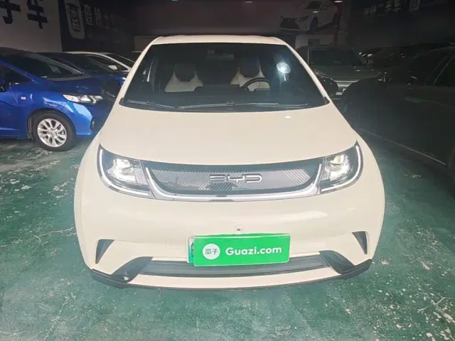 BYD Dolphin — Фото автомобиля 2