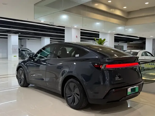Tesla Model Y — Фото автомобиля 9