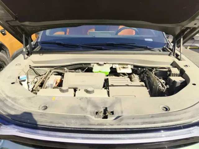 GAC Trumpchi Xiangwang S7 — Фото автомобиля 9