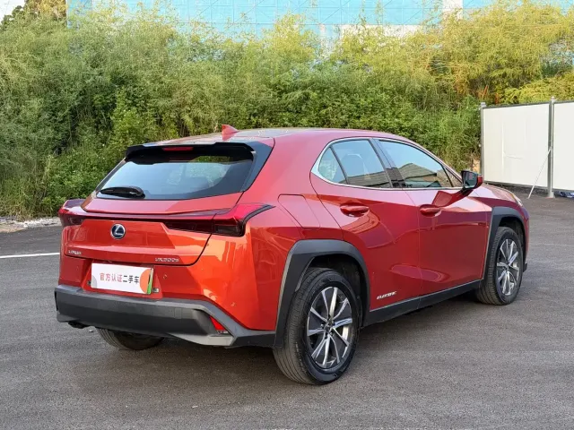 Lexus Lexus UX Electric 2020 300e Pure Yue Edition — Фото автомобиля 13
