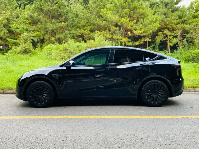 Tesla Model Y — Фото автомобиля 3