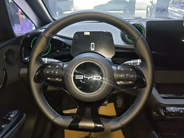 BYD Dolphin — Фото автомобиля 10