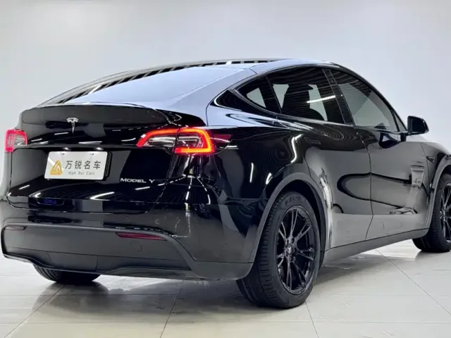 Tesla Model Y — Фото автомобиля 3