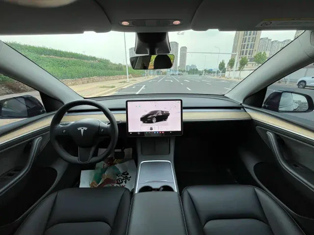 Tesla Model Y — Фото автомобиля 10