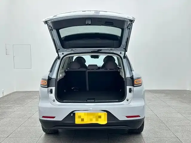 Leapmotor C11 — Фото автомобиля 15
