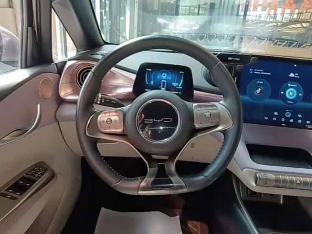 BYD Dolphin — Фото автомобиля 10