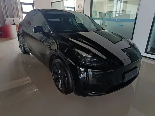 Tesla Model Y — Фото автомобиля 3