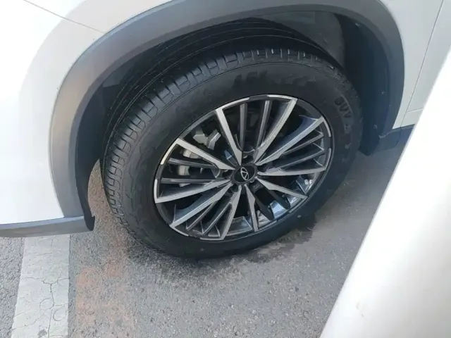 Chery Tiggo 8 PRO — Фото автомобиля 22