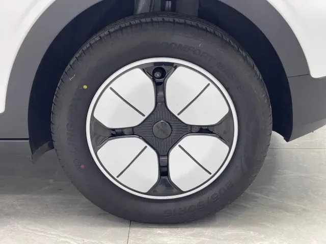 Geely Starry Wish — Фото автомобиля 19