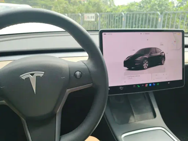 Tesla Model Y — Фото автомобиля 3