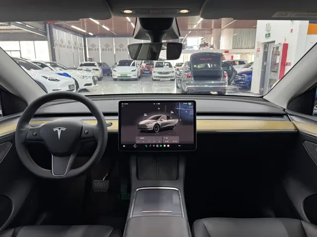 Tesla Model Y — Фото автомобиля 13