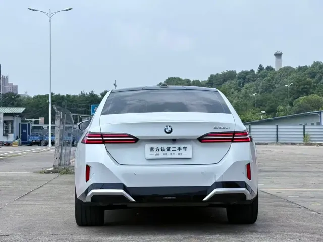 BMW 5 Series — Фото автомобиля 10