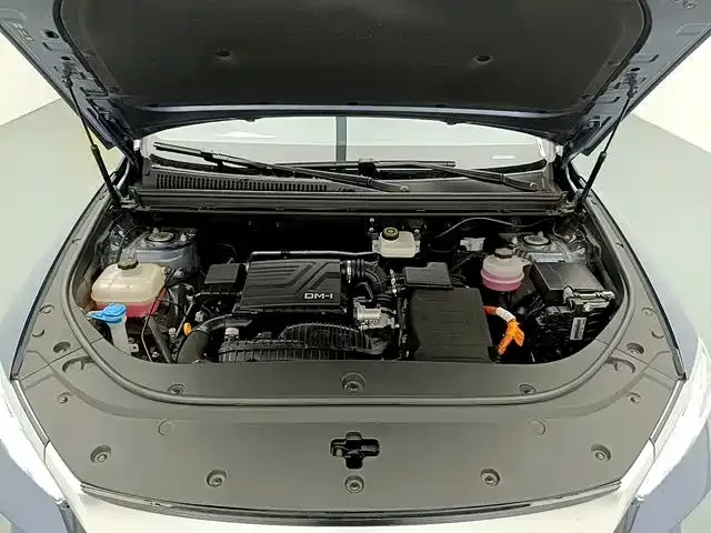 BYD Song Pro New Energy 2024 Glory Edition DM-i 71KM Pilot — Фото автомобиля 16