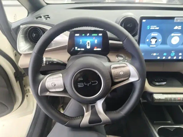 BYD Dolphin — Фото автомобиля 10