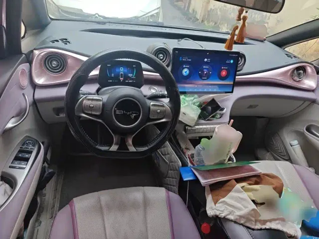 BYD Dolphin — Фото автомобиля 5