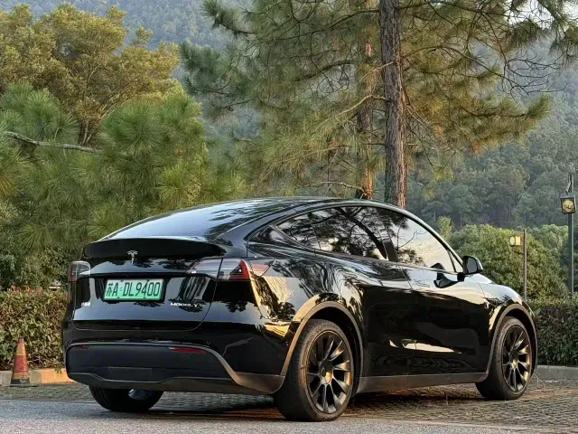 Tesla Model Y — Фото автомобиля 7