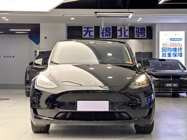 Tesla Model Y — Фото автомобиля 3