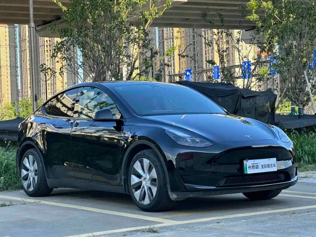 Tesla Model Y — Фото автомобиля 3