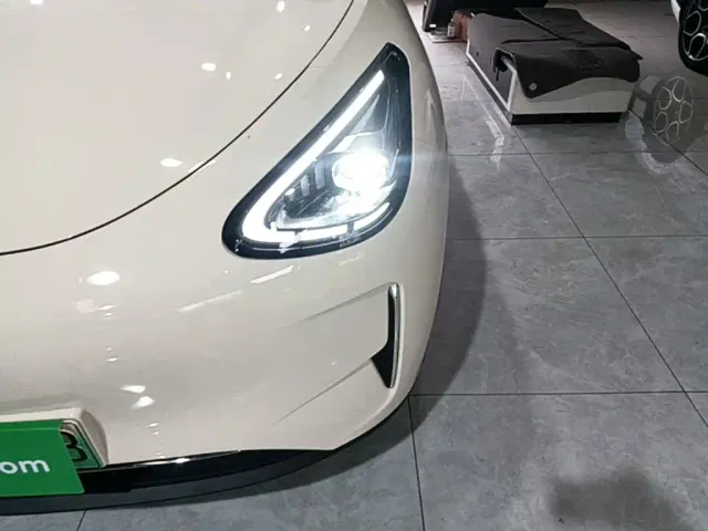 Geely Starry Wish — Фото автомобиля 23