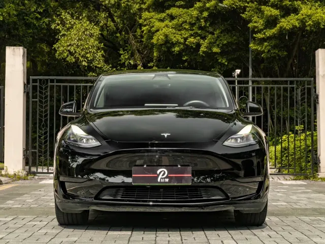 Tesla Model Y — Фото автомобиля 2