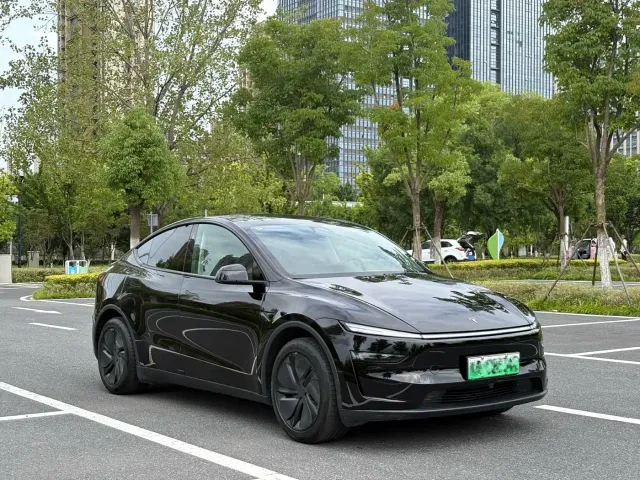 Tesla Model Y — Фото автомобиля 3