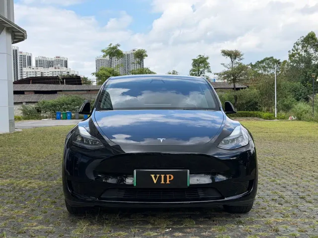 Tesla Model Y — Фото автомобиля 2