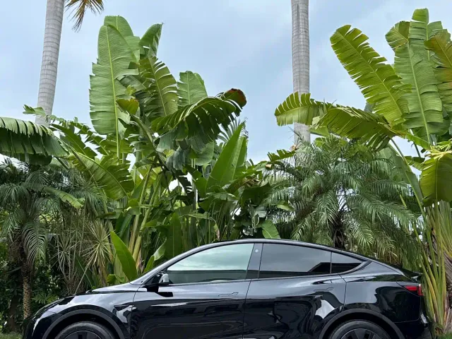 Tesla Model Y — Фото автомобиля 7