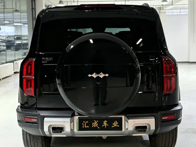 BYD FangChengBao Leopard 5 — Фото автомобиля 9