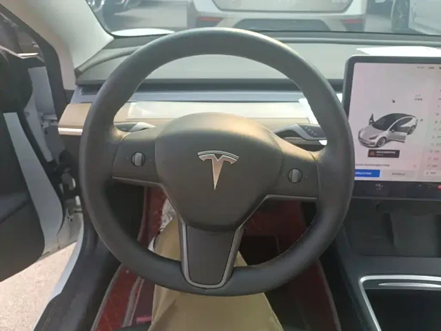 Tesla Model 3 2021 Standard Range Rear-Wheel Drive Upgrade 3D6 — Фото автомобиля 10