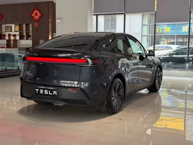 Tesla Model Y — Фото автомобиля 7