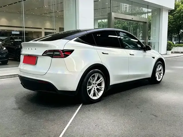 Tesla Model Y — Фото автомобиля 7