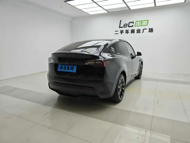 Tesla Model Y — Фото автомобиля 10